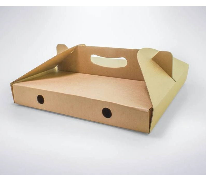 Pizza Box With Handel