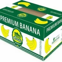 Custom Printed Banana Box